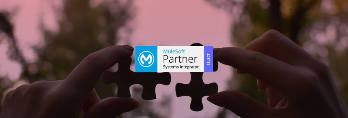 Twenty20 Systems Joins Mulesoft Partner Program